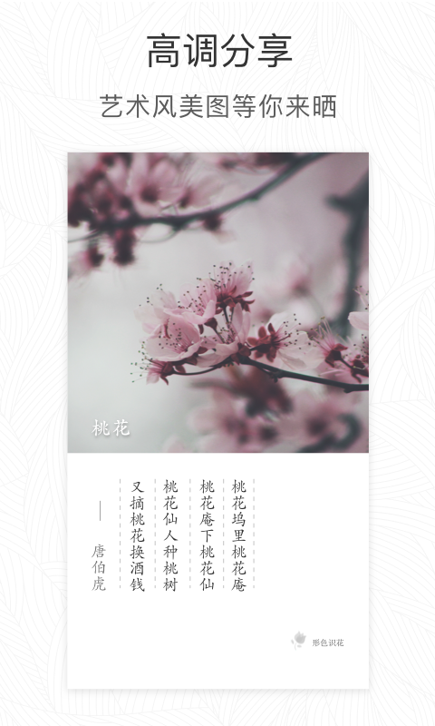 园艺植物识别App分享 2026年实用的拍照识花识草工具